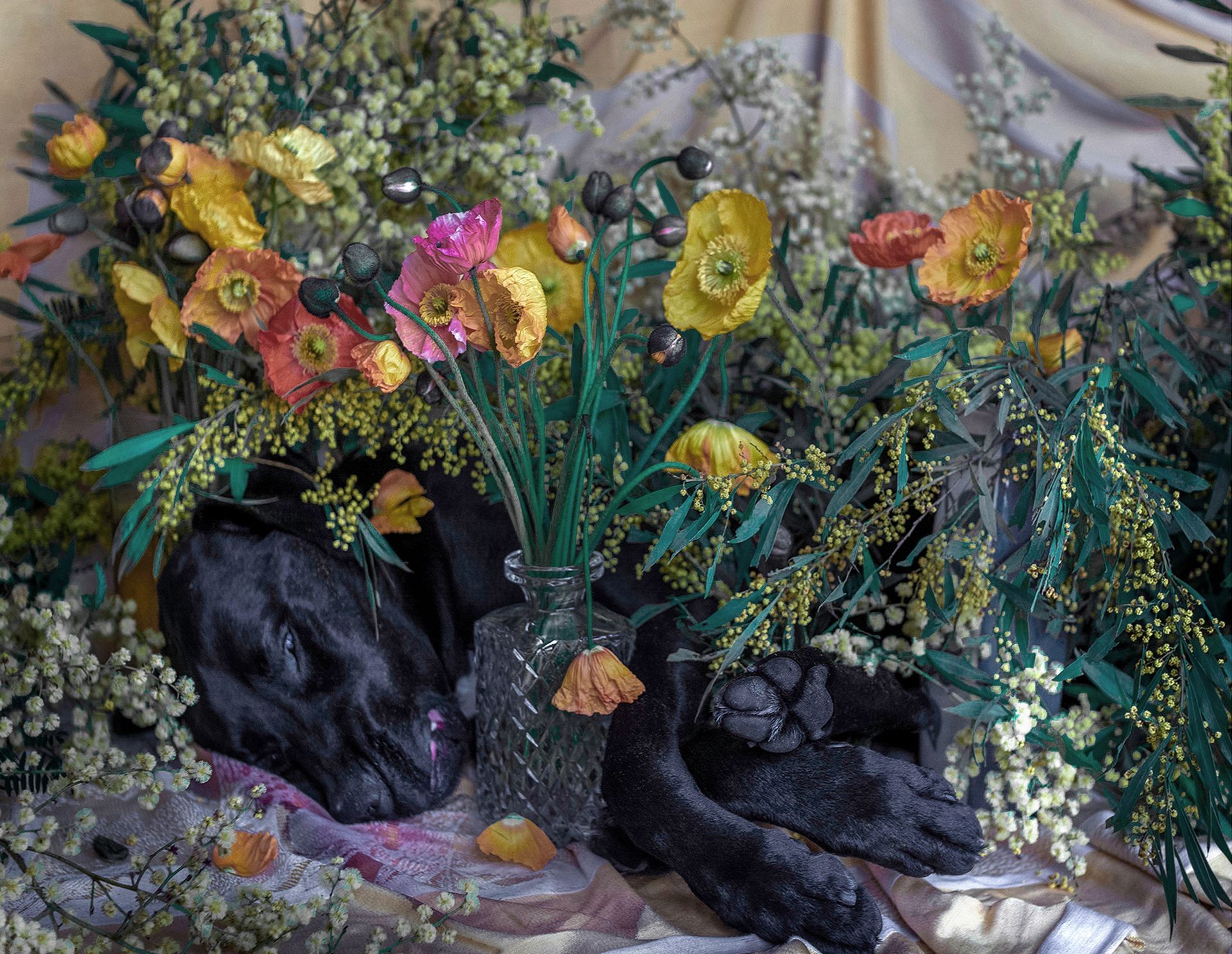 flowers+animals+death+memory+memorial+gravity+photography+memory+songs+metaphor+parade+bouquet