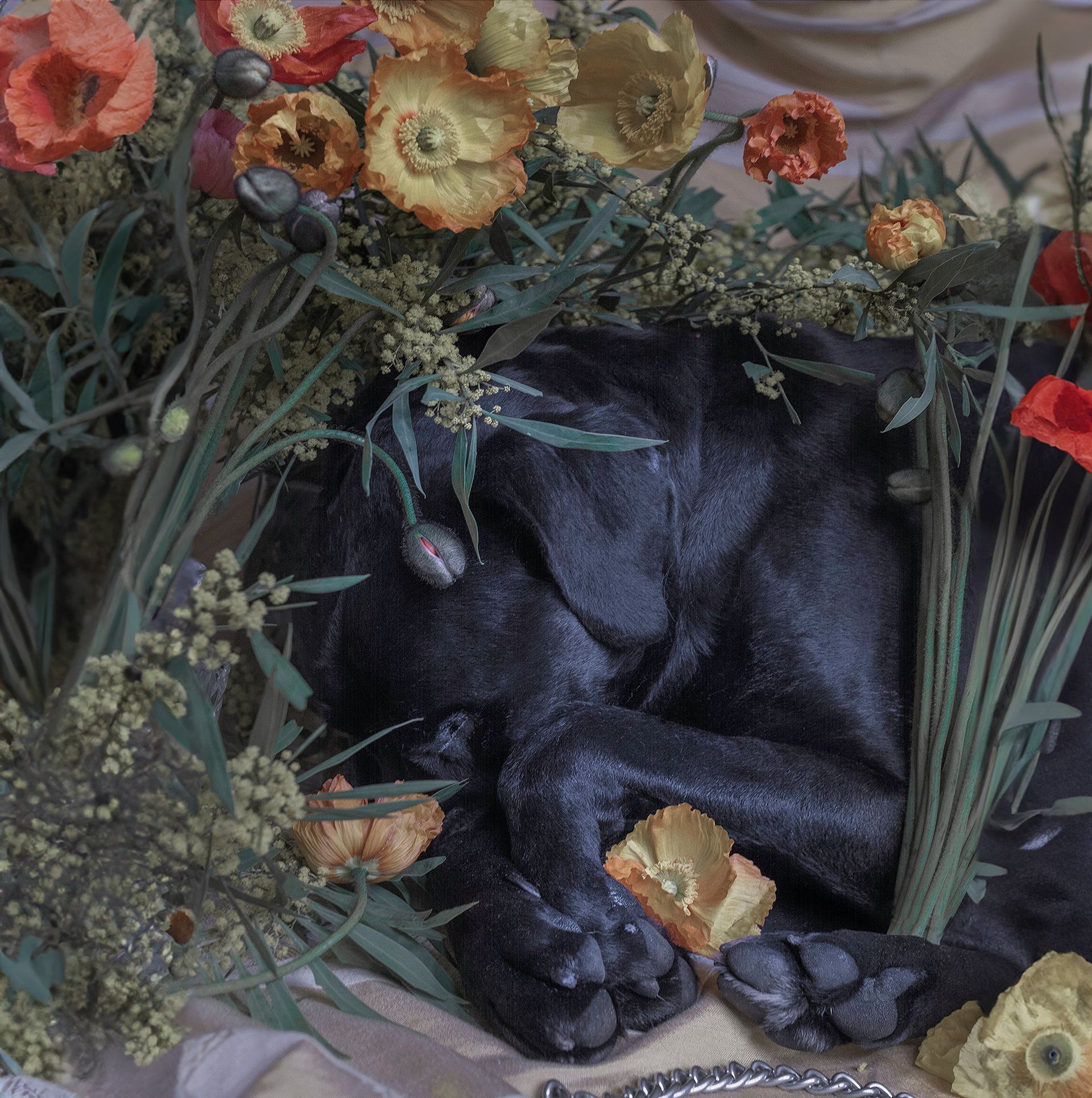 flowers+animals+death+memory+memorial+gravity+photography+memory+songs+metaphor+parade+bouquet