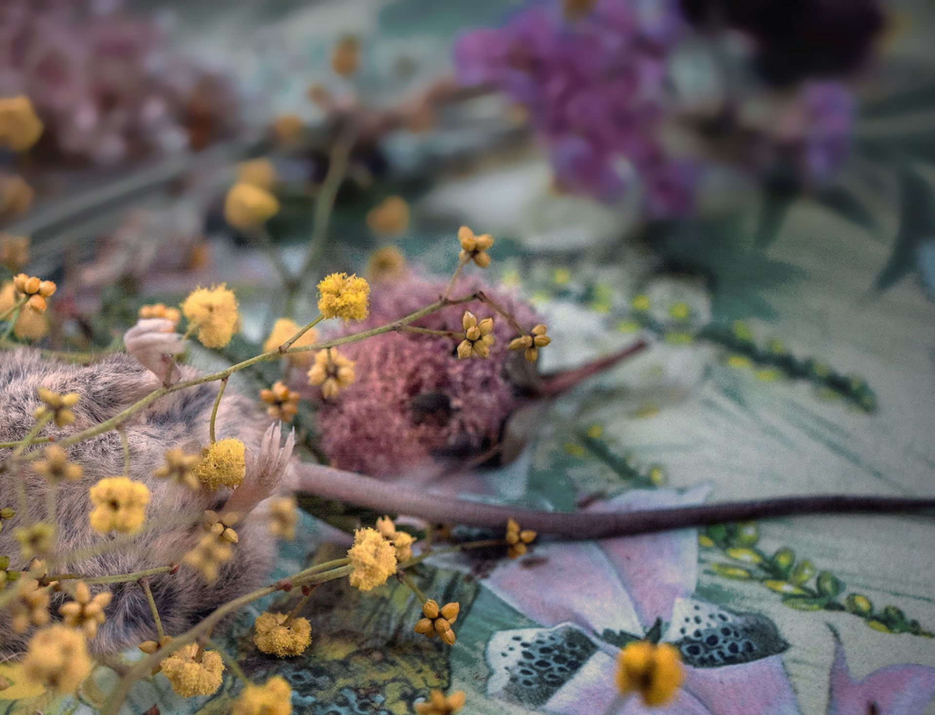 flowers+animals+death+memory+memorial+gravity+photography+memory+songs+metaphor+parade+bouquet