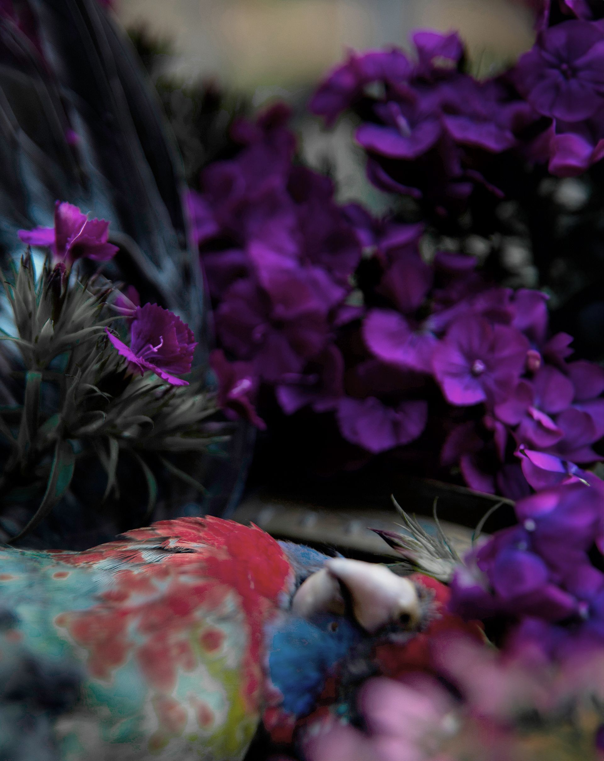 flowers+animals+death+memory+memorial+gravity+photography+memory+songs+metaphor+parade+bouquet