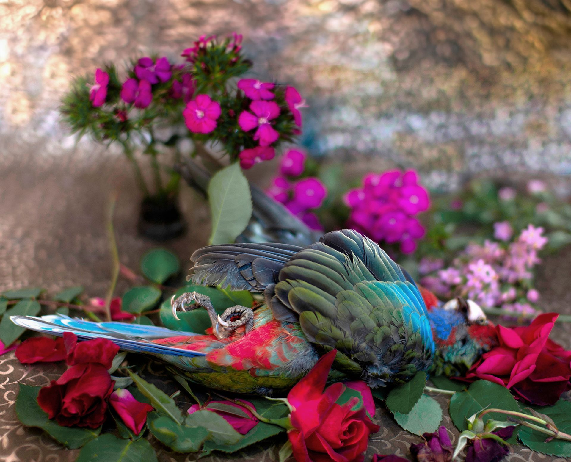 flowers+animals+death+memory+memorial+gravity+photography+memory+songs+metaphor+parade+bouquet