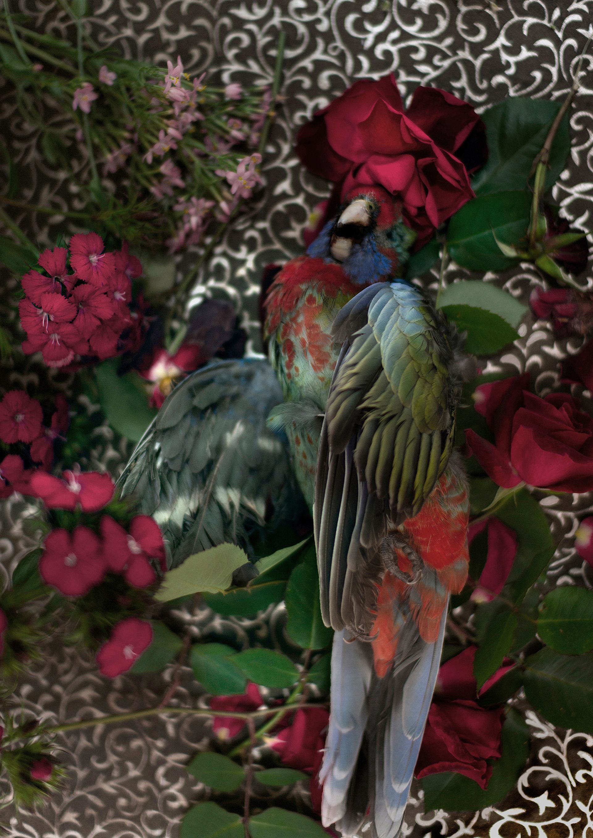 flowers+animals+death+memory+memorial+gravity+photography+memory+songs+metaphor+parade+bouquet