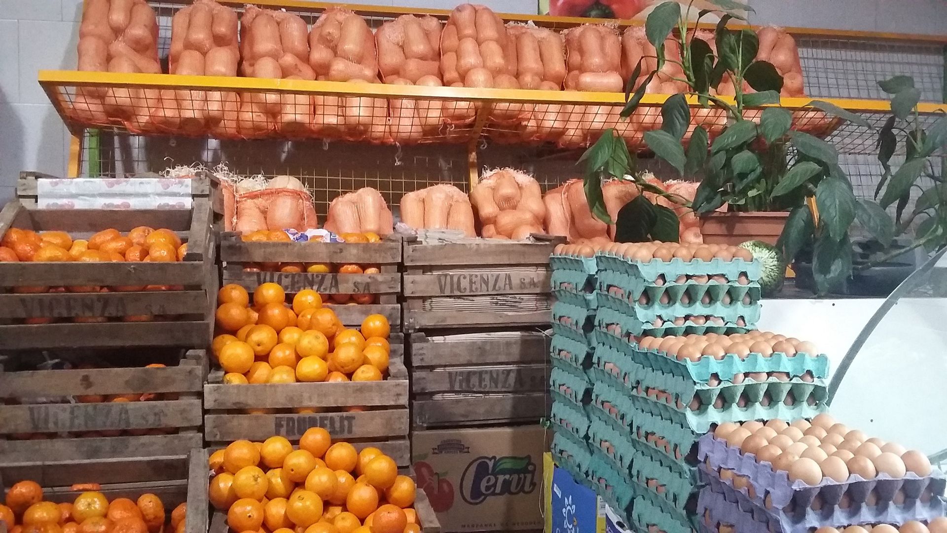 Centro Integral de la Fruta y la Verdura