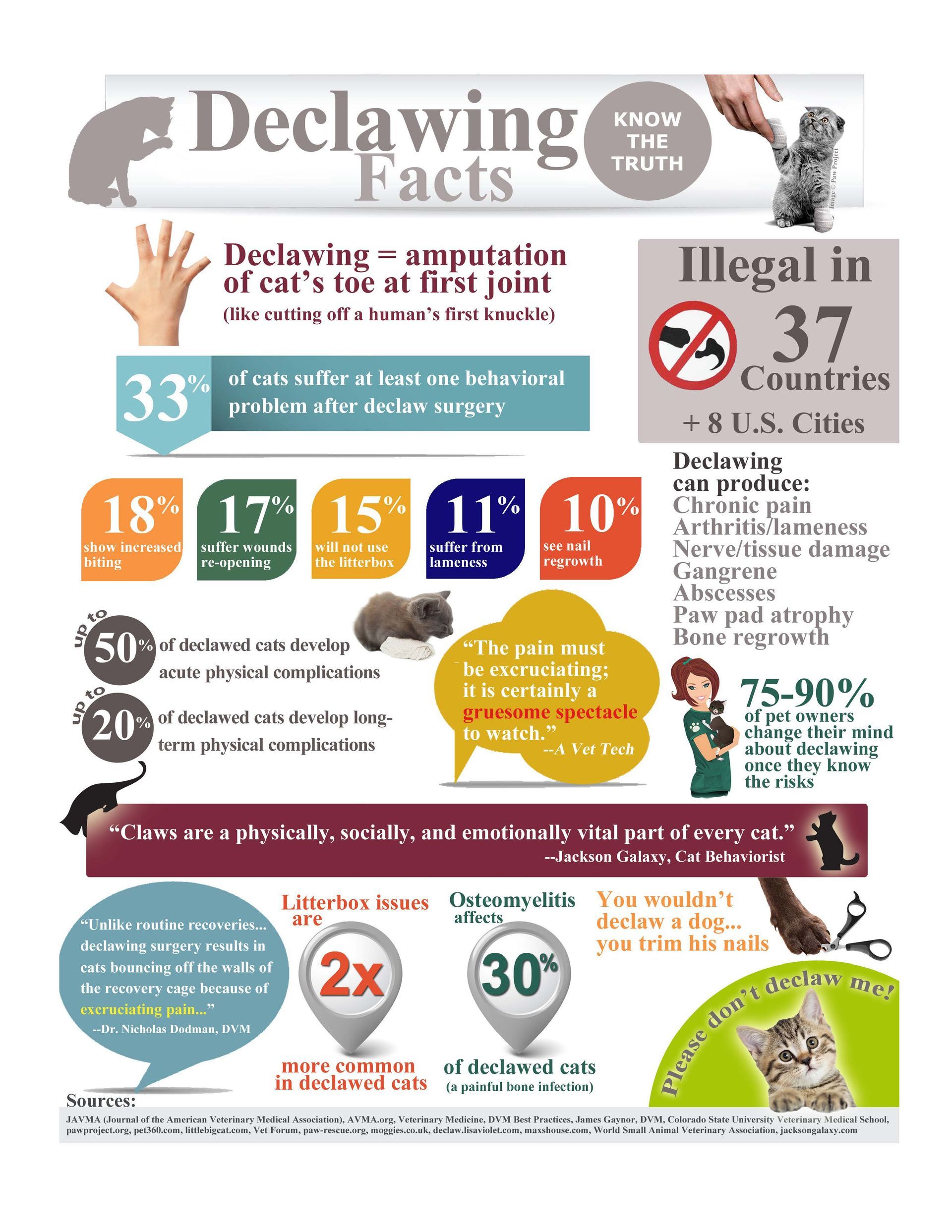 cat declawing facts