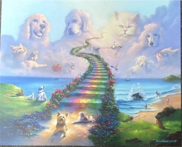 In Home Euthanasia Services The Rainbow Connection Cumming in-home-euthanasia-services-the-rainbow-connection-cumming