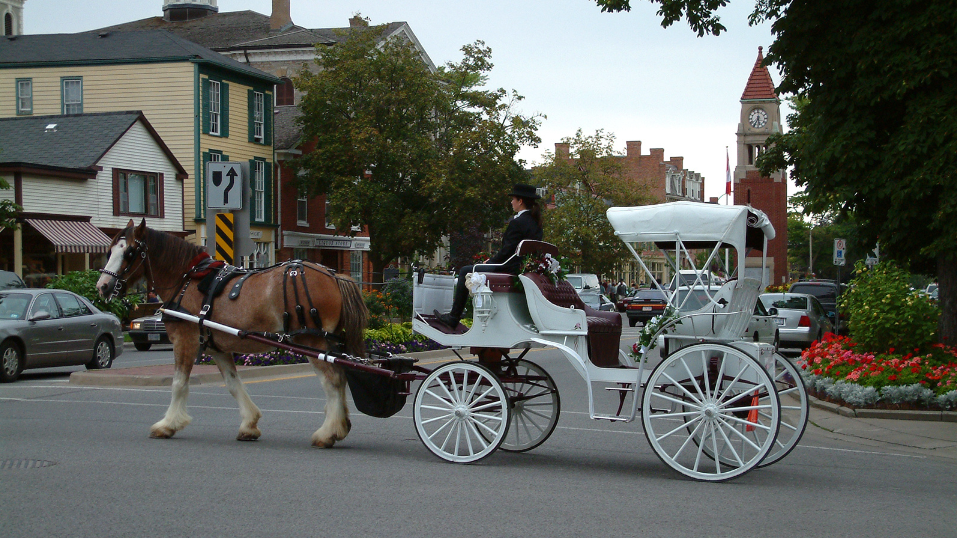 Horse-drawn white carriage on a street, person in seat, buildings in background.