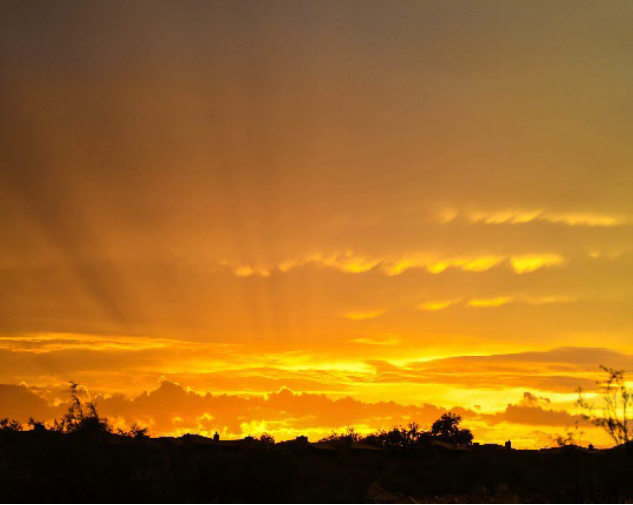 Golden sunset over dark silhouetted trees, with orange clouds filling the sky. Tucson, AZ — Associated Dermatologist Golden sunset over dark silhouetted trees, with orange clouds filling the sky. Tucson, AZ — Associated Dermatologist