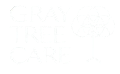 Gray Tree Care