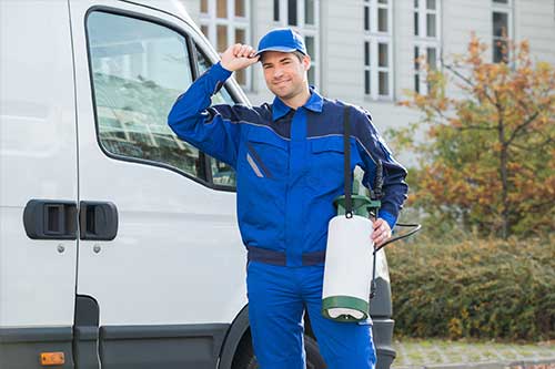 Pest Control Company — Pest Control Worker in Grapevine, TX