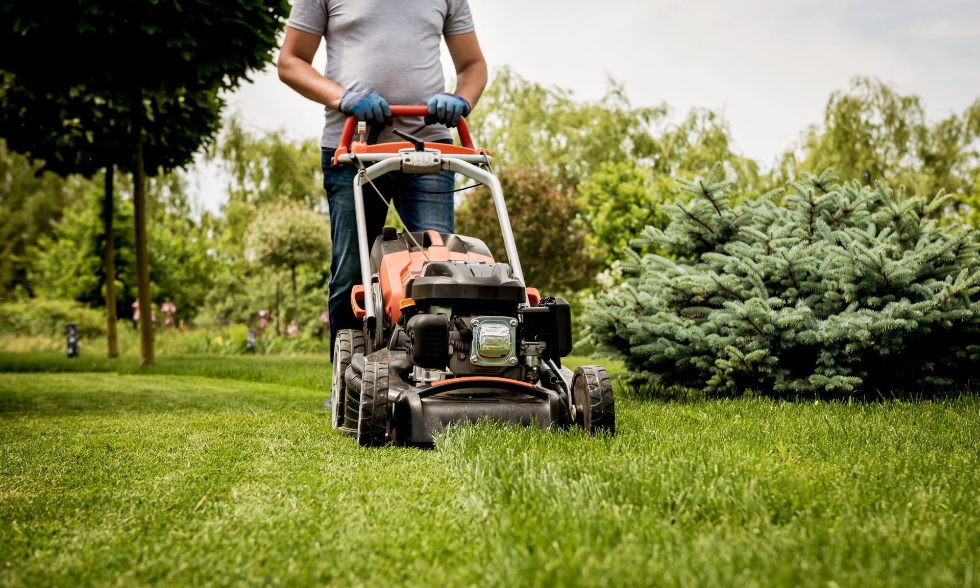Person mowing a green lawn with a push mower in a park-like yard