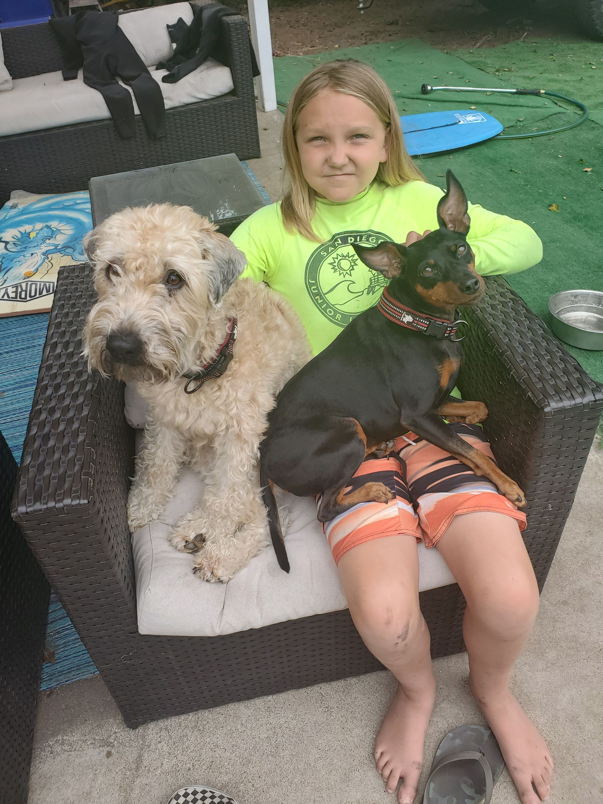 A little girl is sitting in a chair with two dogs.
