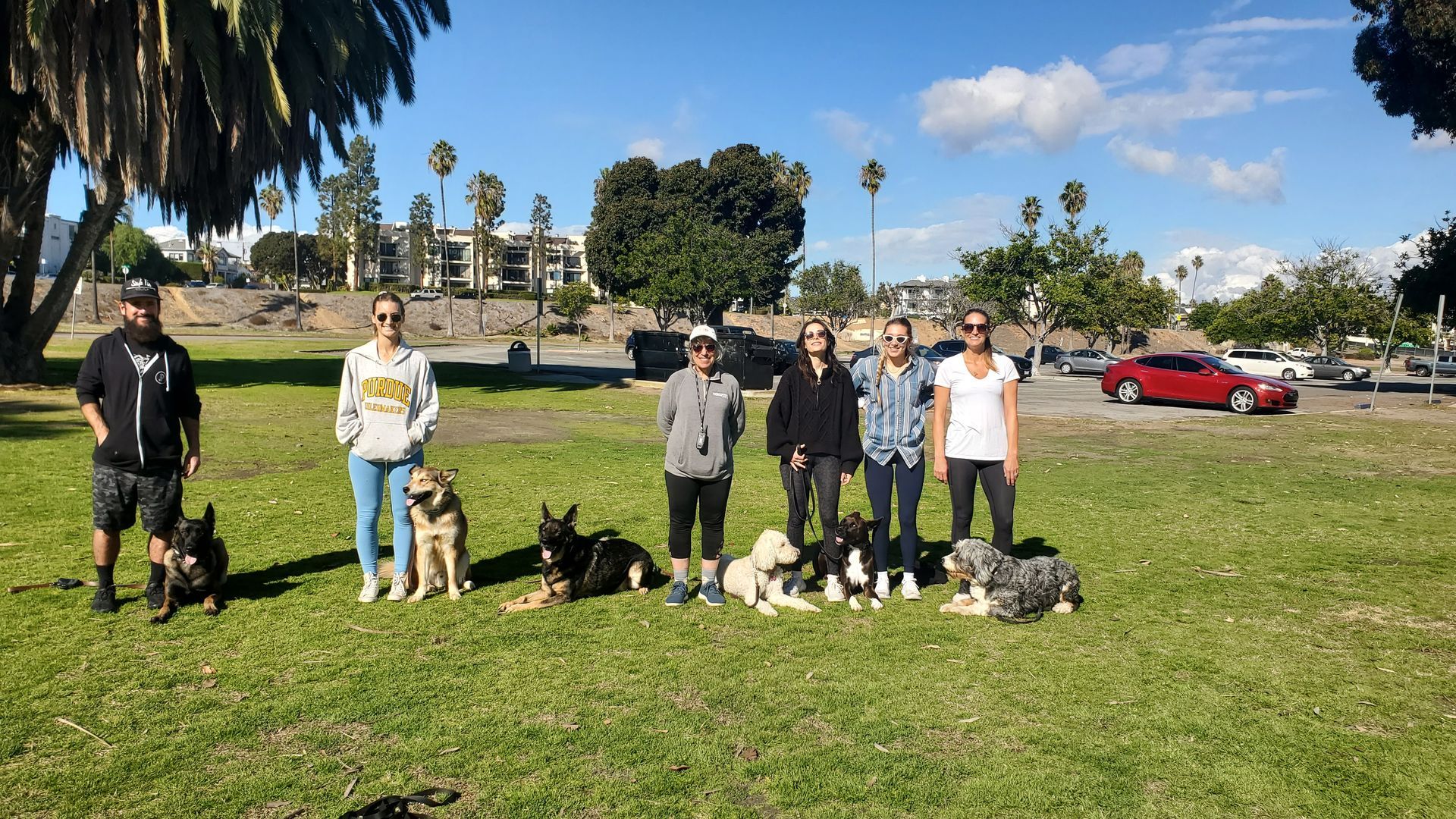 A group of people and their dogs are posing for a picture in a park.