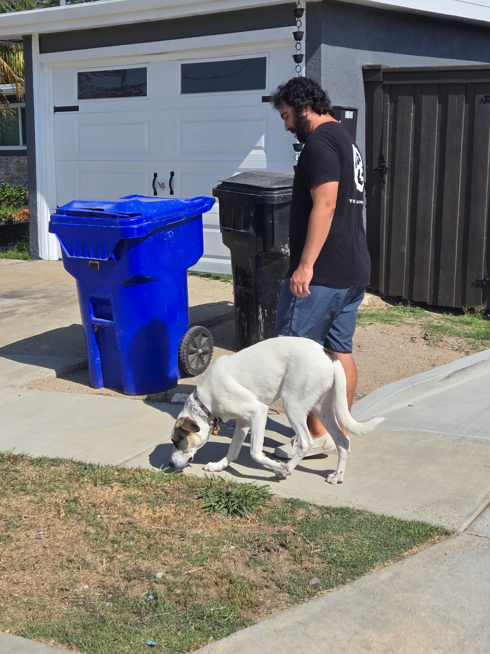 A man and a dog are standing on a sidewalk next to trash cans