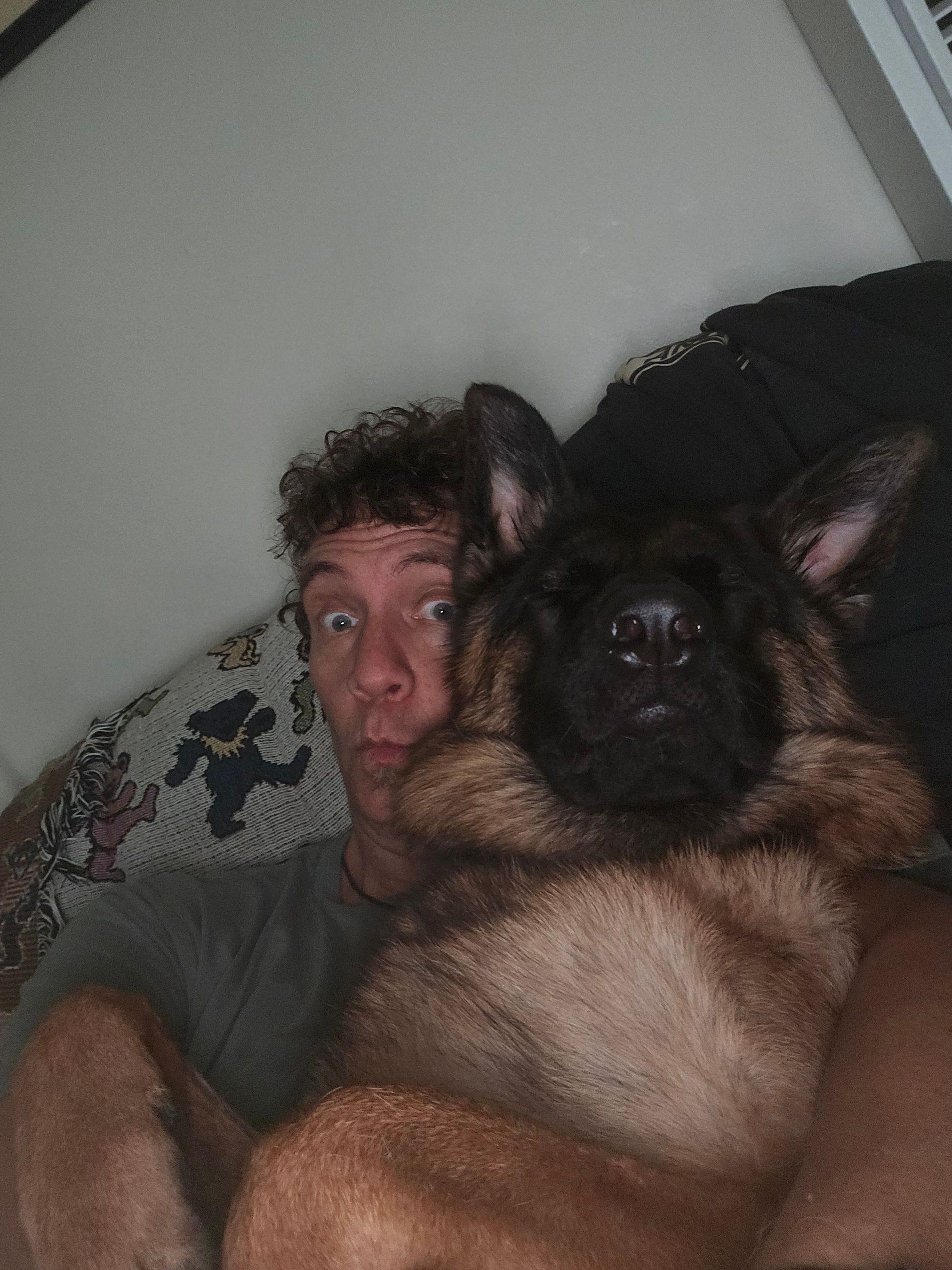 A man is laying on a couch with a german shepherd dog