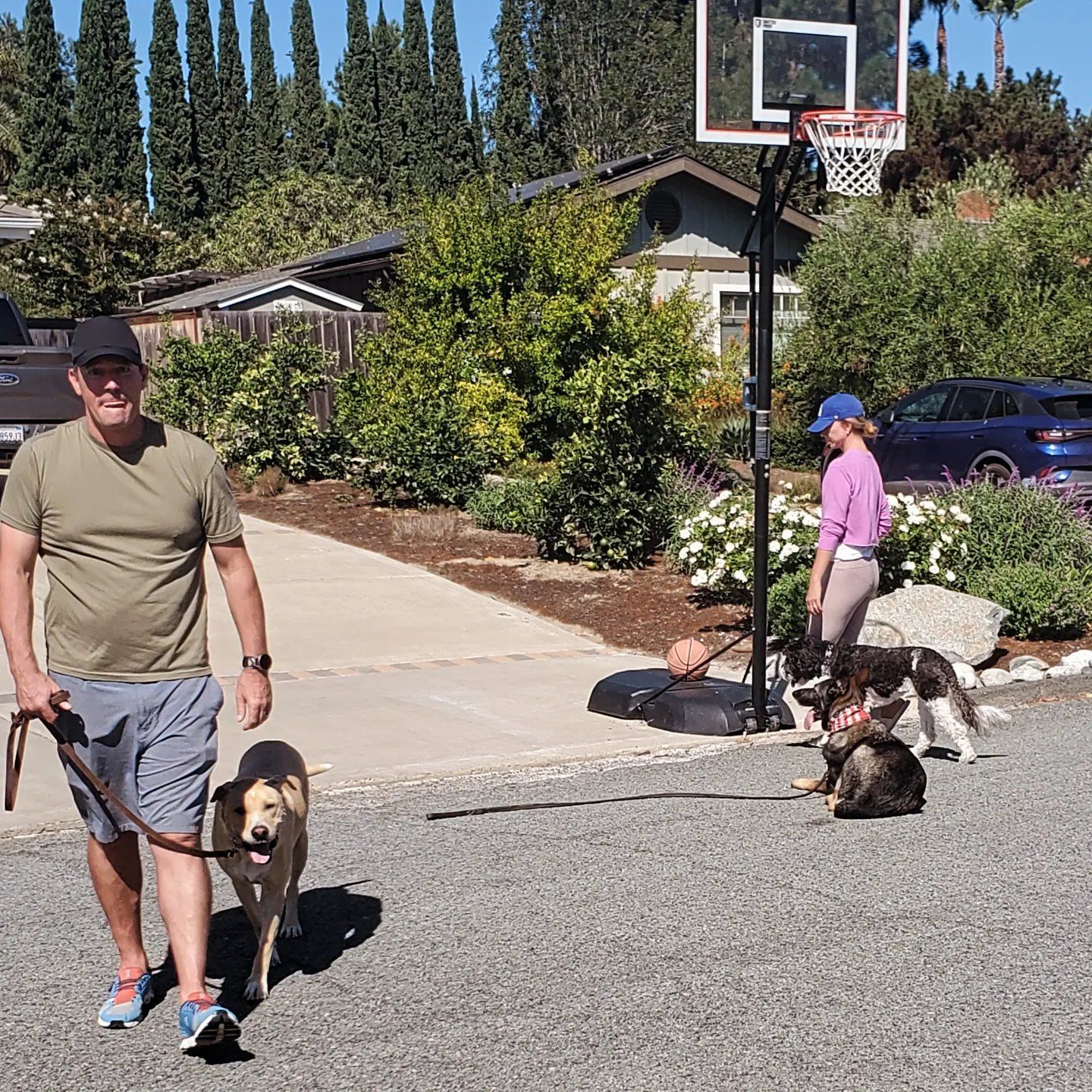A man is walking a dog on a leash in front of a basketball hoop.