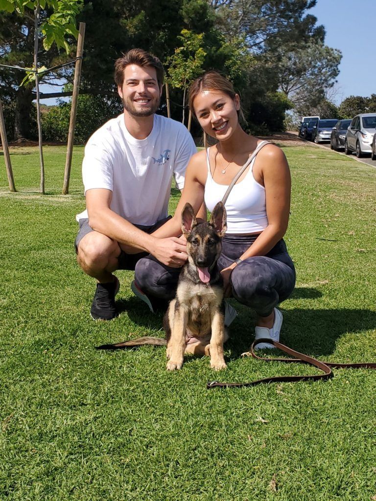 A man and a woman are posing for a picture with a german shepherd puppy.