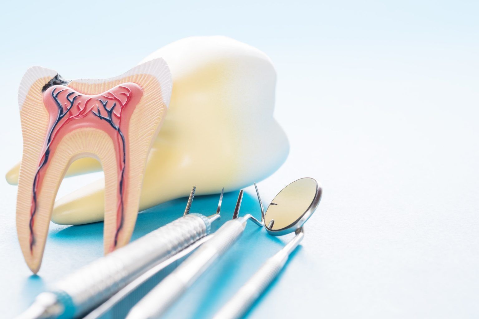 fake teeth showing root canal