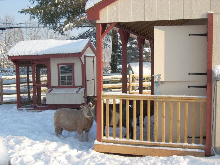 A snowy area with trees and a barn in the background