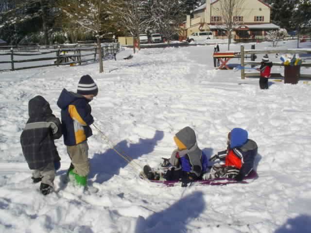A group of children are playing in the snow