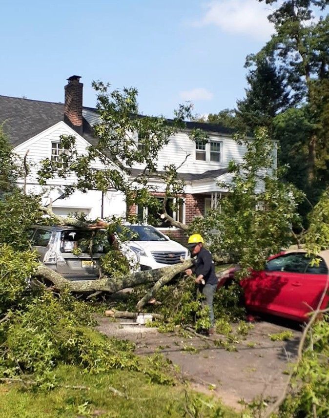 A fallen tree blocks a driveway, damaging cars in front of a white house as a worker clears debris.