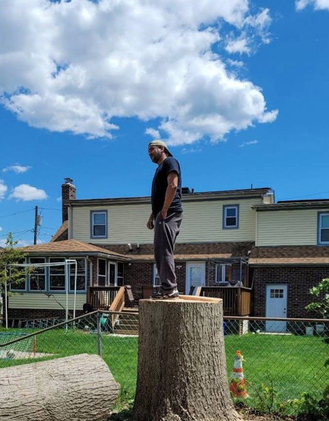 Person standing on a tree stump in a backyard under a blue sky with clouds.