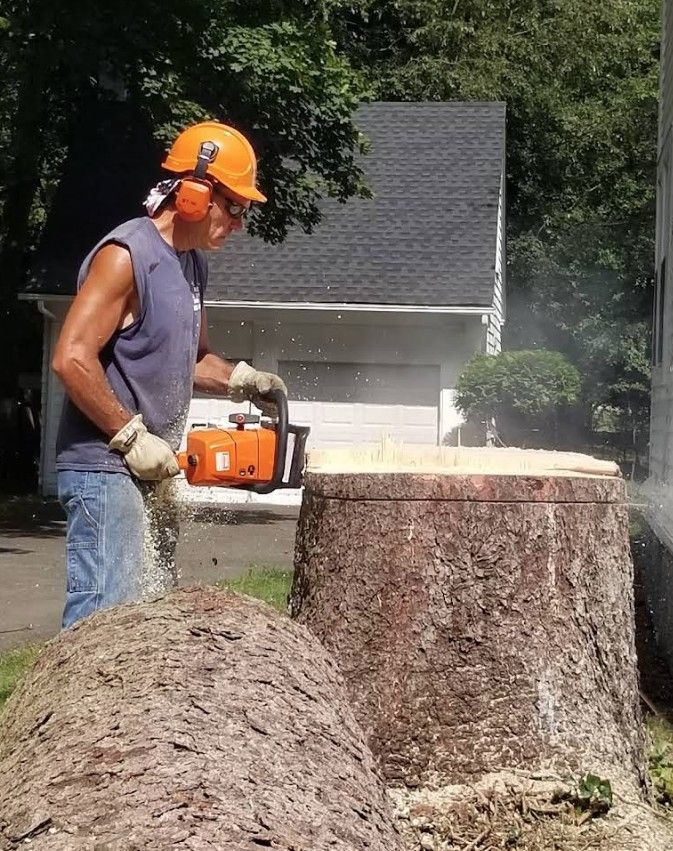 Worker in orange helmet cutting a tree stump with a chainsaw in a yard.