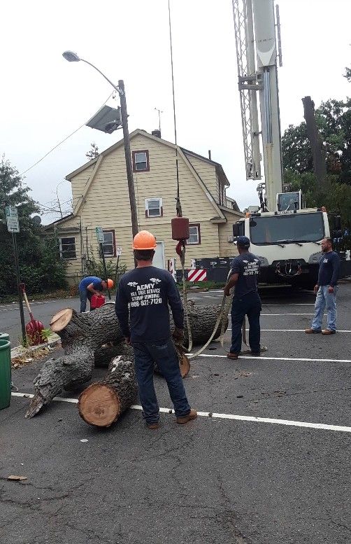 Utility workers clearing debris from a road beside a house and crane truck after a storm.