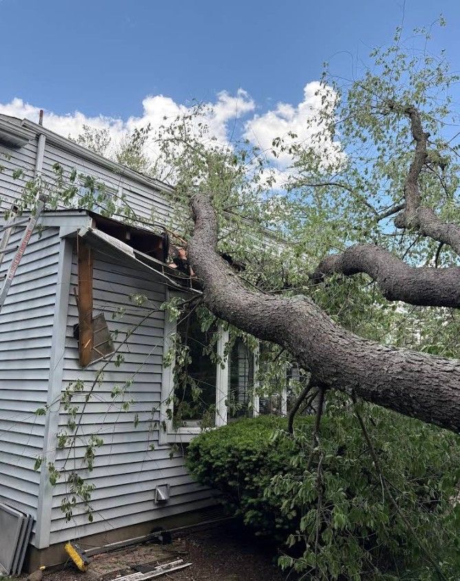 Large fallen tree limb leaning against a white house amid storm debris and broken branches