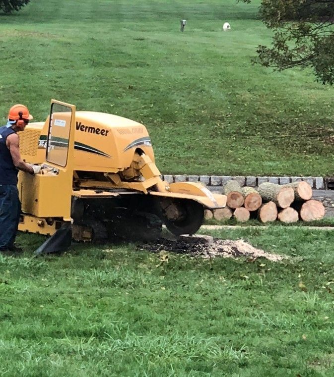Worker using a yellow Vermeer wood chipper to process logs beside a grassy yard
