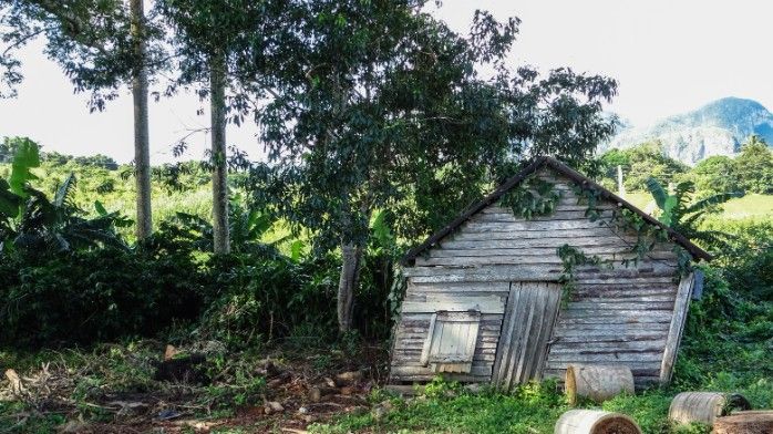 Construction Debris Removal in Wadley, GA