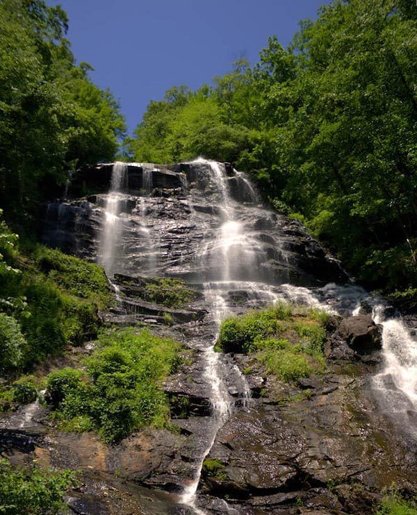 A waterfall in the middle of a lush green forest