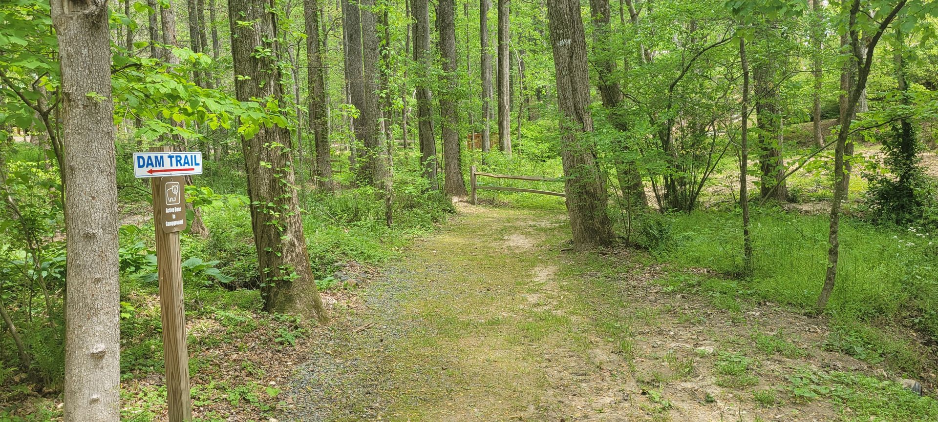 A dirt path in the woods with a sign on the side that says camp trail
