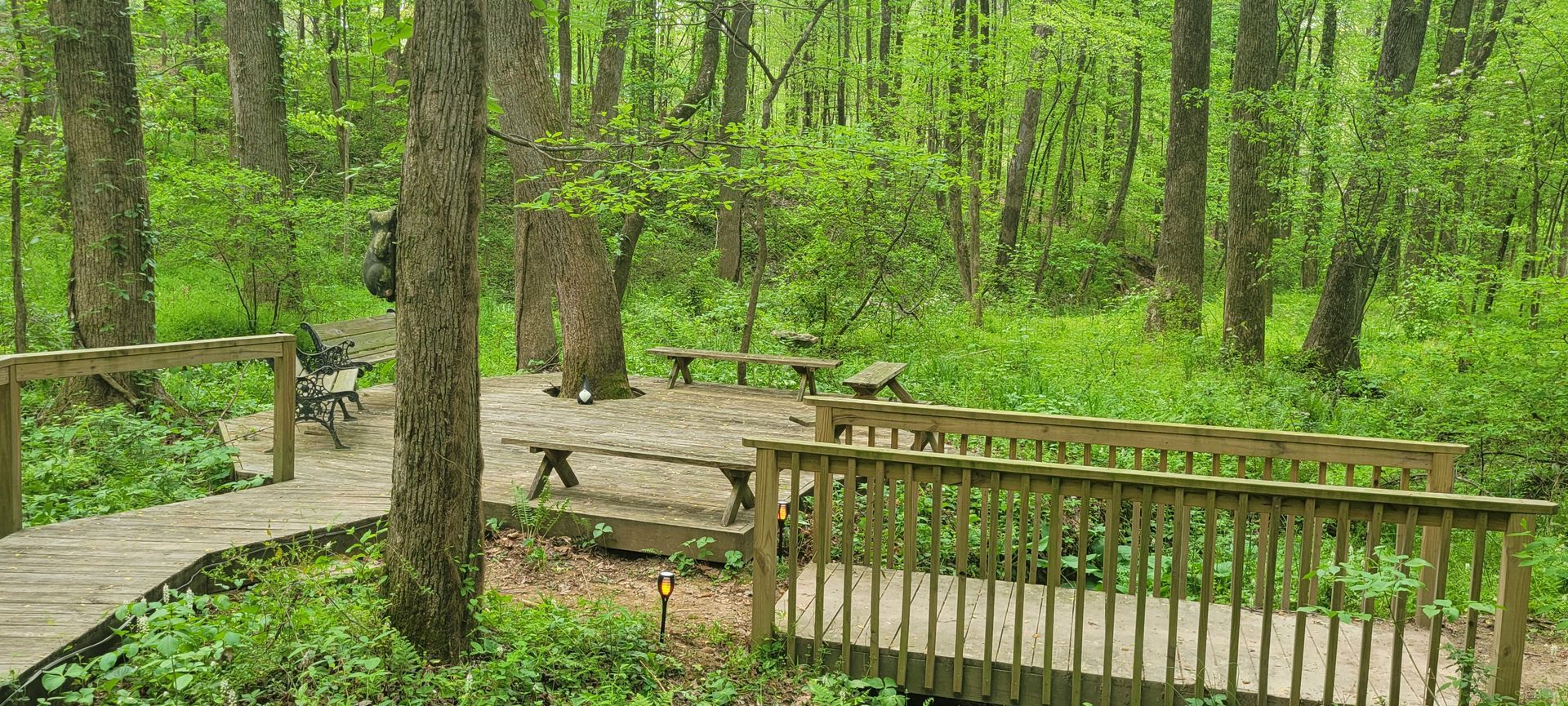 A wooden bridge in the middle of a forest