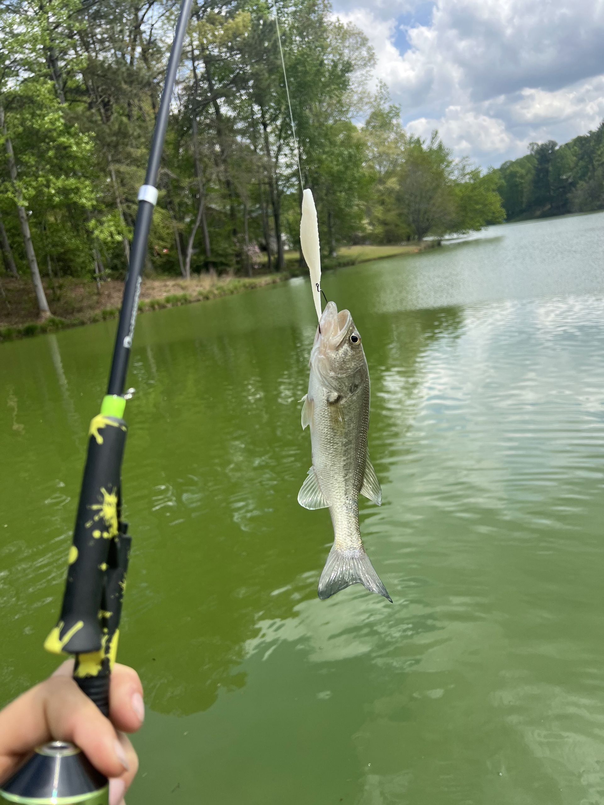 A person is holding a fishing rod with a fish in the water