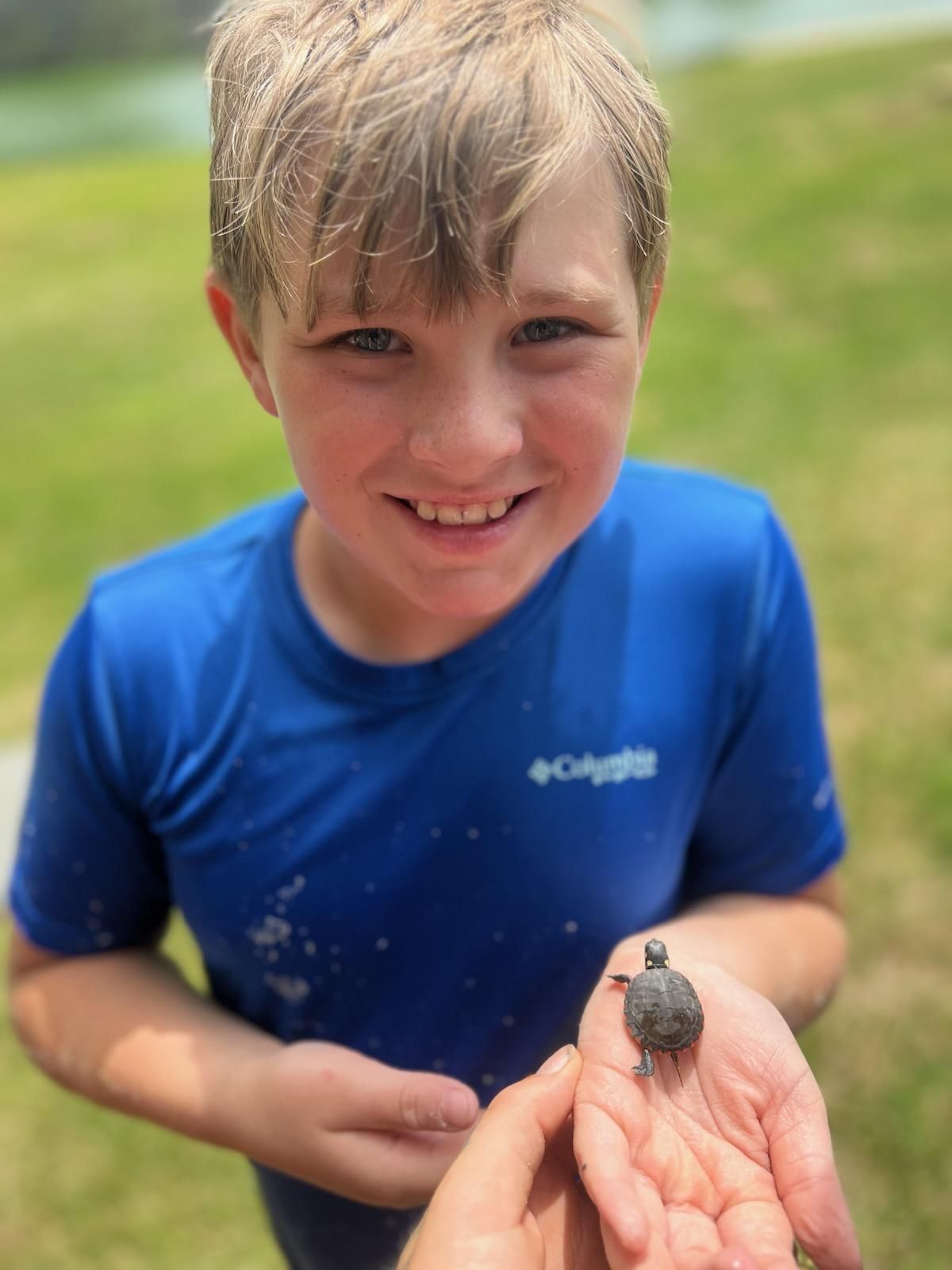 A boy in a blue shirt is holding a small turtle in his hand