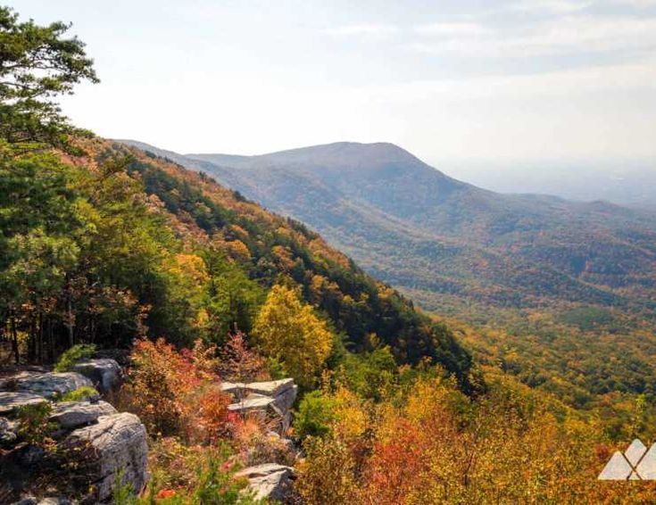 A mountain covered in trees with a mountain in the background