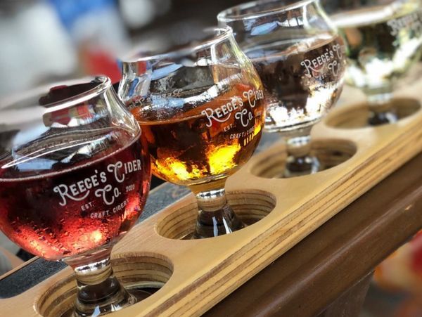 Four glasses of Reece's cider are lined up on a wooden tray.