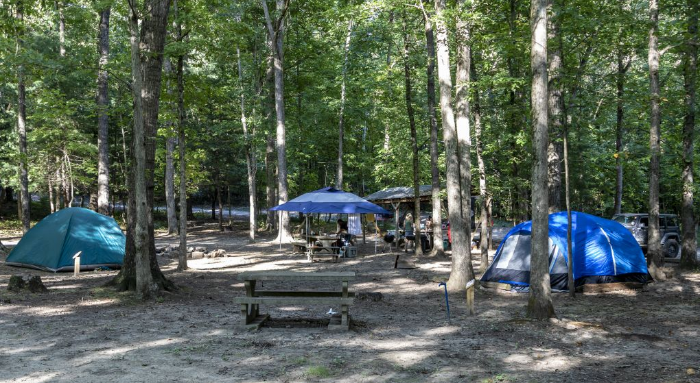 A wooden shelter with a picnic table underneath it in the tent area