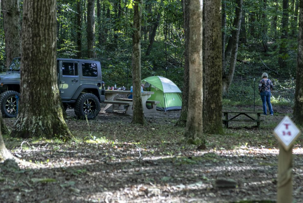 A large group gathering area in the dedicated tent camping area