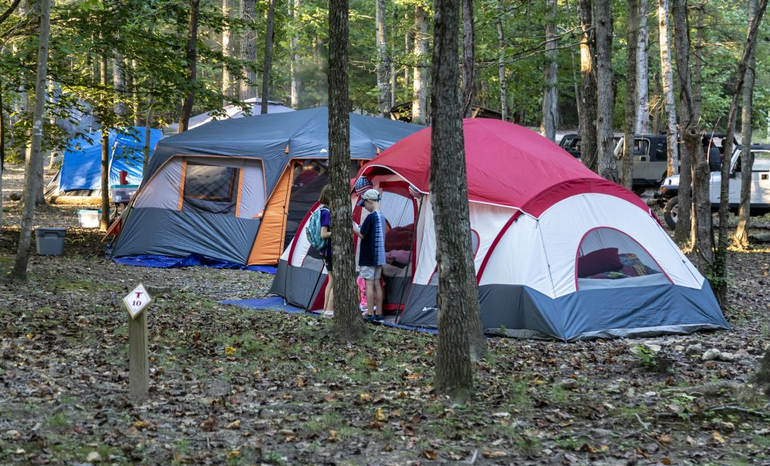 A group of tents are set up in the woods