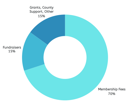 club income sources