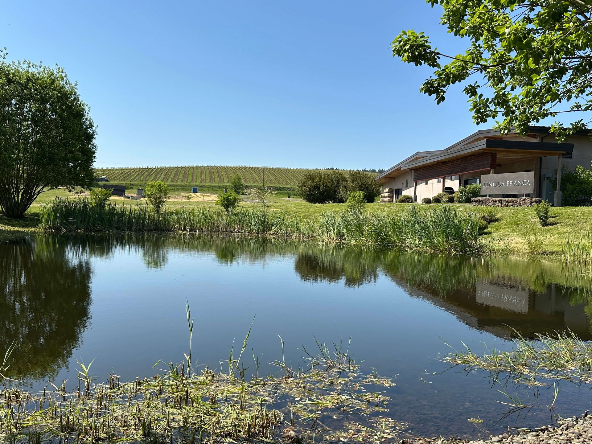 Private wine tours in Oregon
