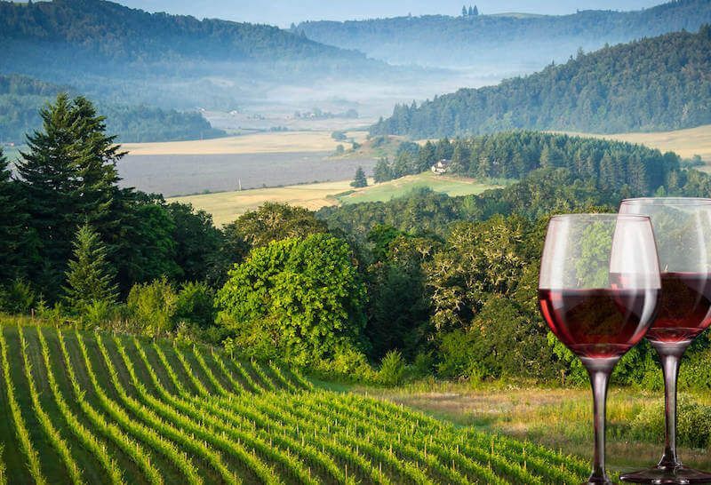Willamette Valley wine tasting tours