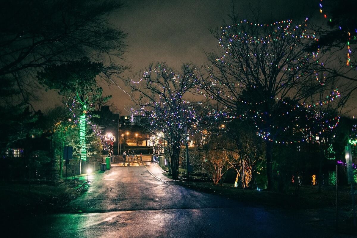 christmas lights limo tour Lake Oswego