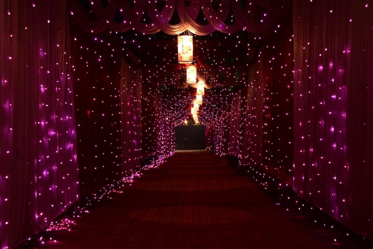 Holiday lights limo tour West Lake oregon