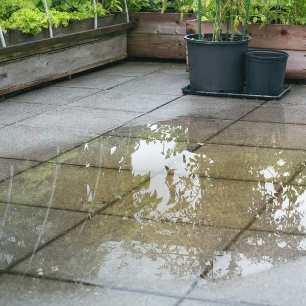 A clogged outside drain is causing a Wet patio with puddles reflecting foliage, potted plants in the background.