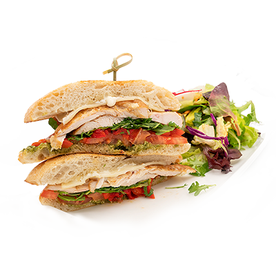 Chicken sandwich with salad on a white plate.