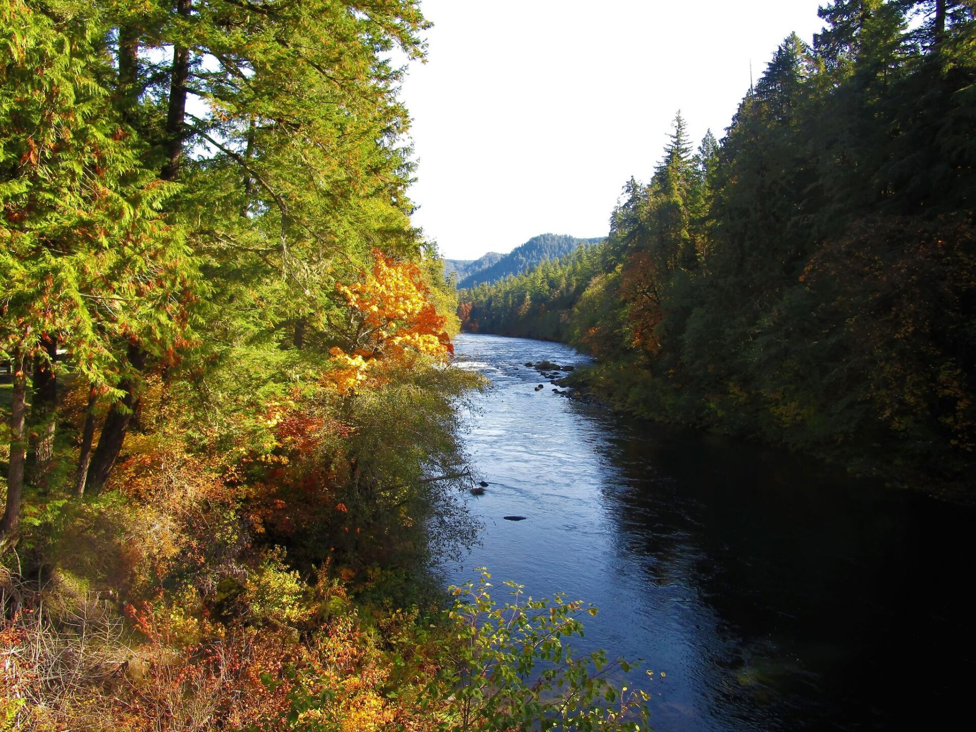 Umpqua Umpqua River