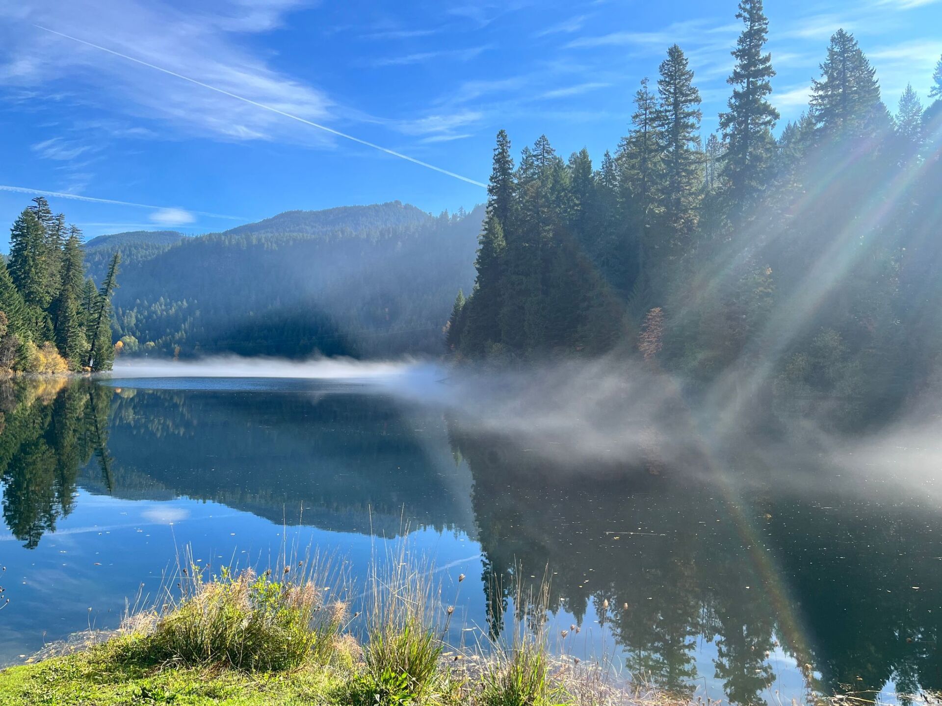 Umpqua National Forest