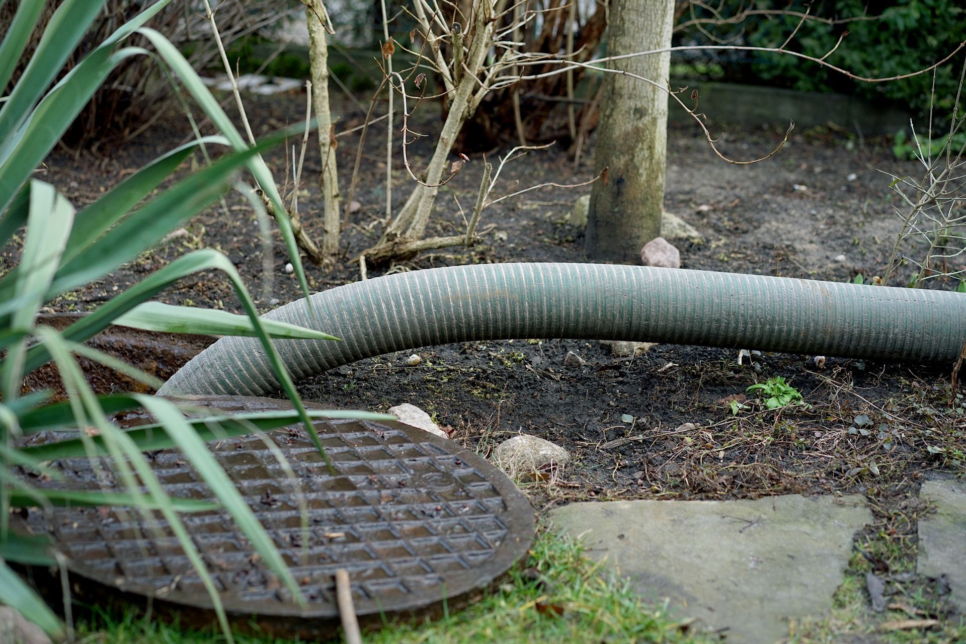 A large vacuum hose connected to a residential tank for professional septic system pumping.
